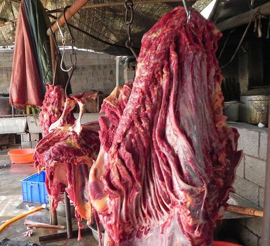 不带皮鲜驴肉 全国配送 各种驴副产品批发】 - 其他肉类加工机械